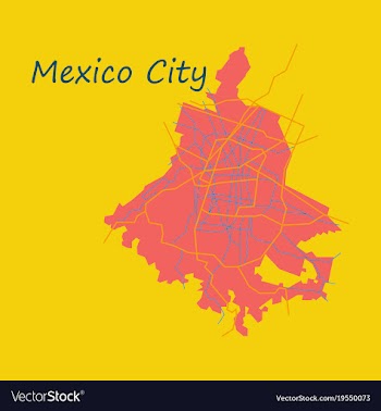 Flat color map of mexico city mexico city plan of vector image