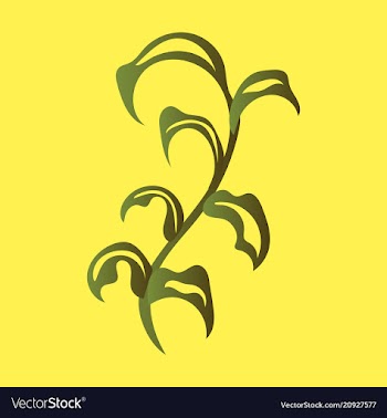 Flat design elements in vintage style drawing vector image