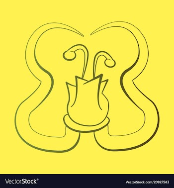 Flat design elements in vintage style drawing vector image