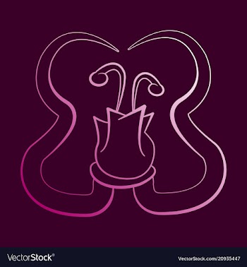 Flat design elements in vintage style drawing vector image