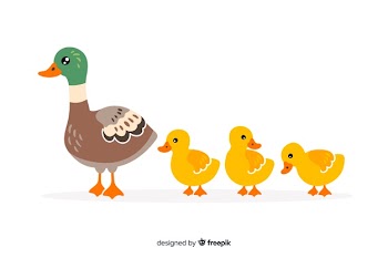 Flat design mother duck and ducklings Free Vector