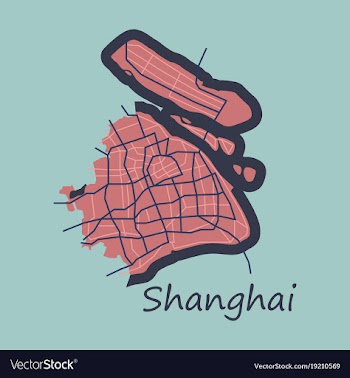 Flat detailed shanghai city road network map vector image