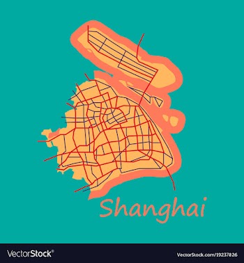 Flat detailed shanghai city road network map vector image