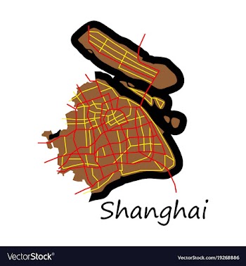 Flat detailed shanghai city road network map vector image