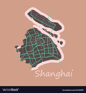 Flat detailed shanghai city road network map vector image