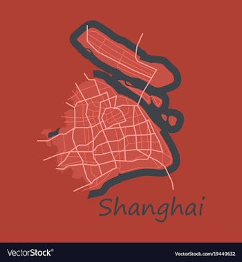 Flat detailed shanghai city road network map vector image