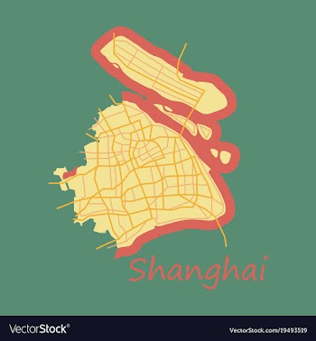 Flat detailed shanghai city road network map vector image