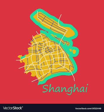 Flat detailed shanghai city road network map vector image