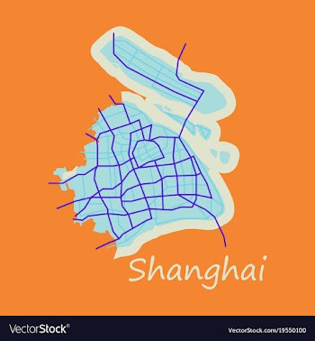 Flat detailed shanghai city road network map vector image