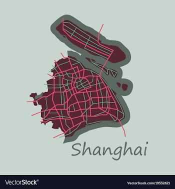 Flat detailed shanghai city road network map vector image