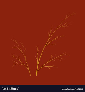 Flat dill isolated hand drawing flavoring plant vector image