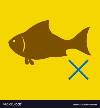 Flat fish drawing seafood great for menu poster vector image