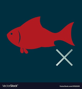Flat fish drawing seafood great for menu poster vector image