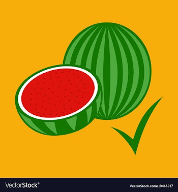 Flat fresh and juicy whole watermelons and slices vector image