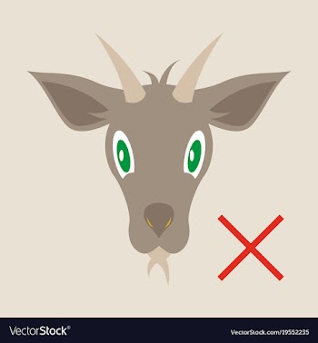 Flat goat animal farm icon vector image