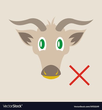 Flat goat head livestock animal grazing vector image