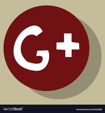 Flat google plus icons on background vector image