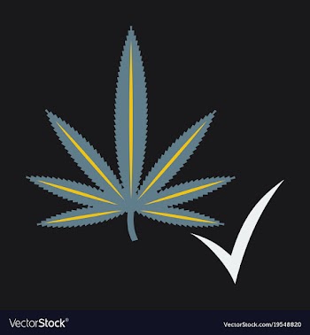Flat hand drawn color botanical of hemp cannabis vector image