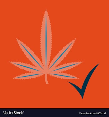 Flat hand drawn color botanical of hemp cannabis vector image