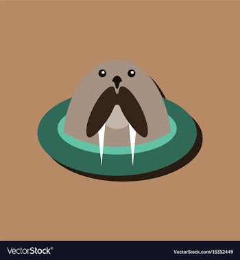 Flat icon design collection antarctic seals in vector image