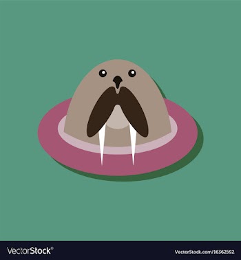 Flat icon design collection antarctic seals in vector image
