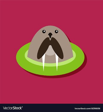Flat icon design collection antarctic seals in vector image
