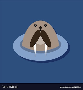 Flat icon design collection antarctic seals in vector image