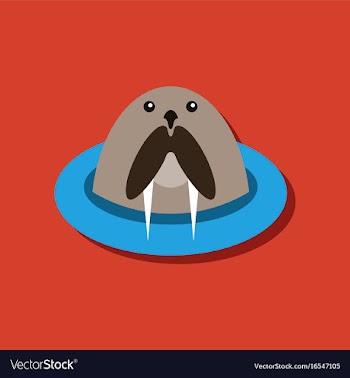 Flat icon design collection antarctic seals in vector image