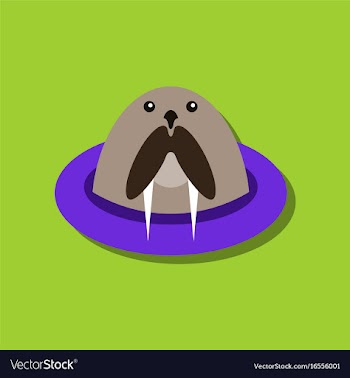 Flat icon design collection antarctic seals in vector image