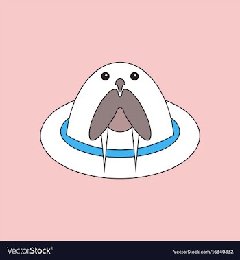 Flat icon design collection antarctic seals vector image