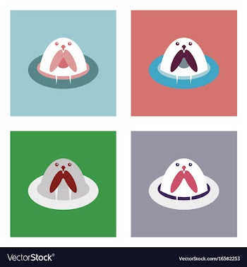 Flat icon design collection antarctic seals vector image