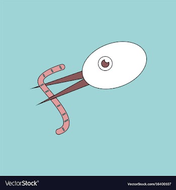 Flat icon design collection bird and worm vector image