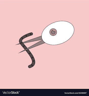 Flat icon design collection bird and worm vector image
