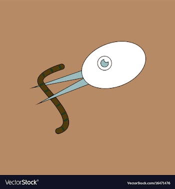 Flat icon design collection bird and worm vector image