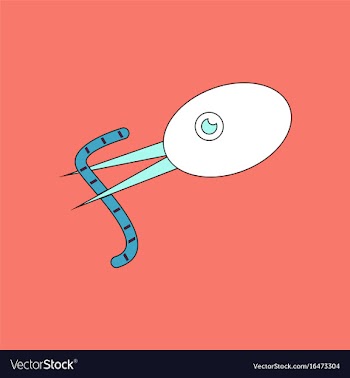Flat icon design collection bird and worm vector image