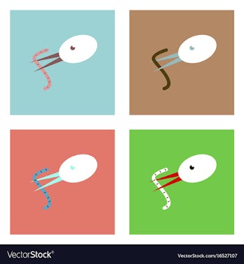 Flat icon design collection bird and worm vector image