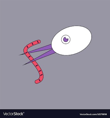 Flat icon design collection bird and worm vector image