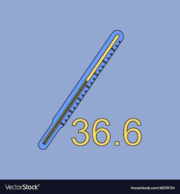 Flat icon design collection body thermometer vector image