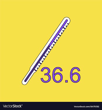 Flat icon design collection body thermometer vector image