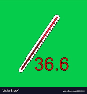 Flat icon design collection body thermometer vector image