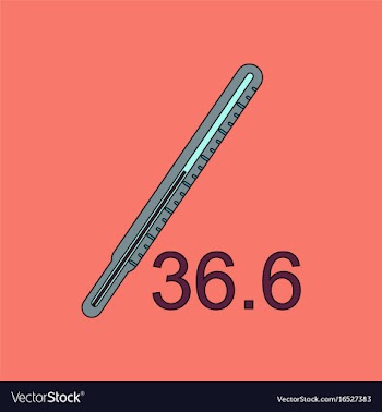 Flat icon design collection body thermometer vector image