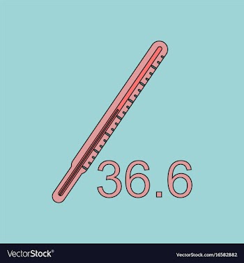 Flat icon design collection body thermometer vector image