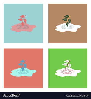 Flat icon design collection bush and puddle vector image