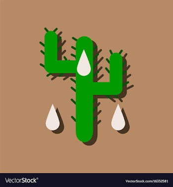 Flat icon design collection cactus and droplets vector image