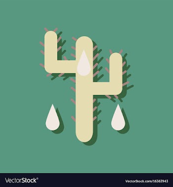 Flat icon design collection cactus and droplets vector image