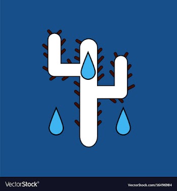 Flat icon design collection cactus and droplets vector image