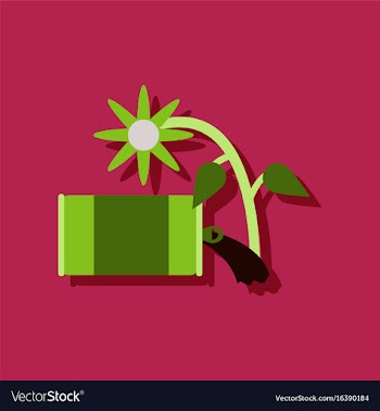 Flat icon design collection canned and flower in vector image