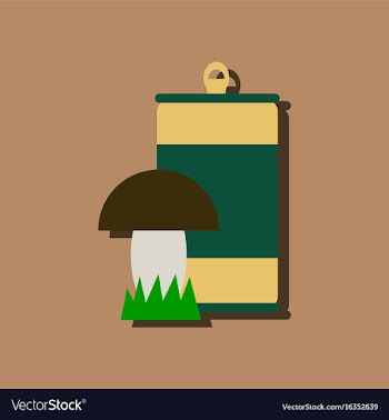 Flat icon design collection canned and mushroom vector image