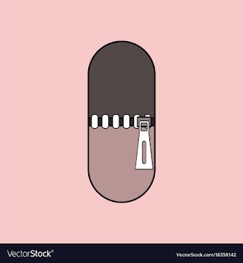 Flat icon design collection capsule with zip vector image