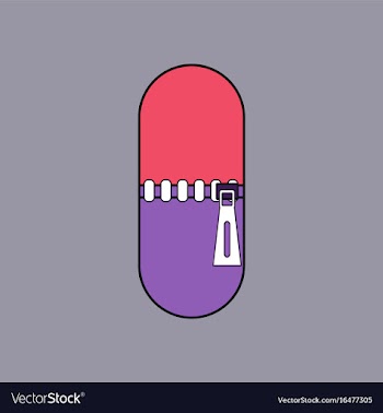 Flat icon design collection capsule with zip vector image